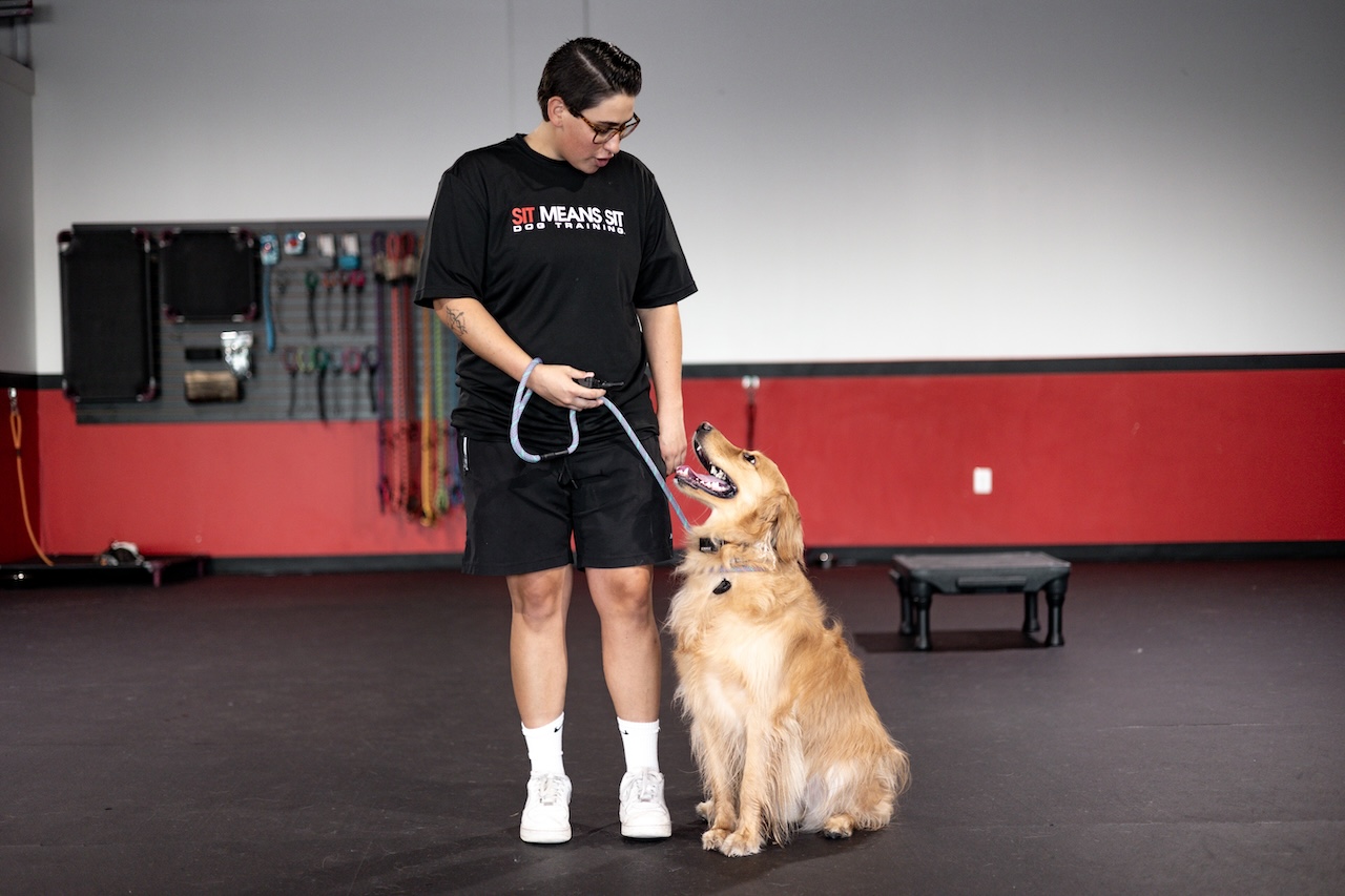 golden with trainer in facility