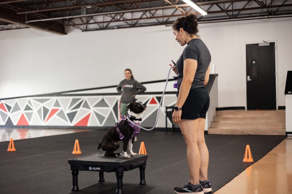 trainer training puppy in facility
